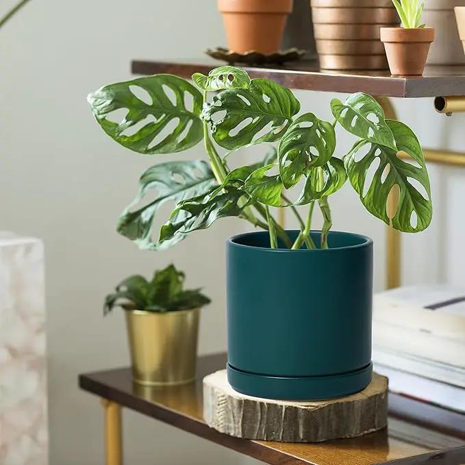 D'vine Dev 6 Inch & 8 Inch Ceramic Planter Pots for Plants with Drainage Hole and Saucer, Medium Plant Pots Set, Teal, 94-G-M-9 by GreenHaven Gardens