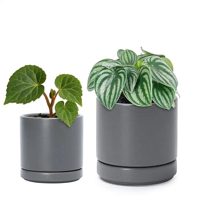 D'vine Dev 3.5 Inch & 4.7 Inch Ceramic Planter Pots for Plants with Drainage Hole and Saucer, X-Small Plant Pots Set, Speckled Grey, 94-G-XS-3 by GreenHaven Gardens