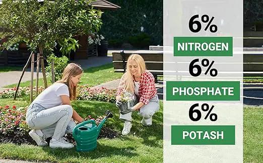 6-6-6 All-Purpose Professional Plant Food Fertilizer; Ideal for Winter Care & Spring Feeding, Perfect Balanced NPK for Indoor and Outdoor Plants (2 QUARTS) by GreenHaven Gardens