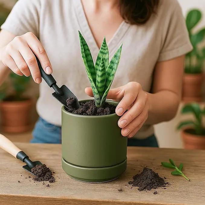 D'vine Dev 4.7 Inch Ceramic Planter Pot with Drainage Hole and Saucer, Indoor Cylinder Round Planter Pot, Olive, 94-O-B-J by GreenHaven Gardens