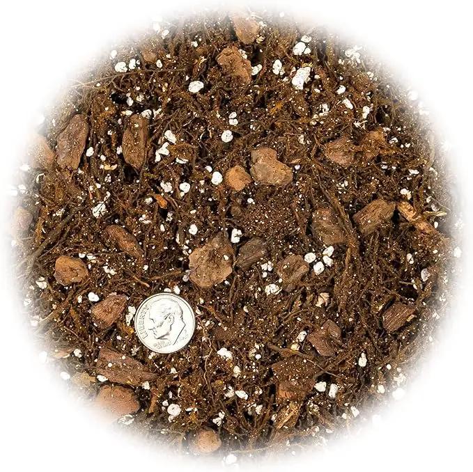 Premium Gardenera House Plant Potting Mix | Fern + New Zealand Bark + Perlite | Great for Pothos, Spider Plants, Montsera, Philodendron, English Ivy - 4 Quart Bag by GreenHaven Gardens