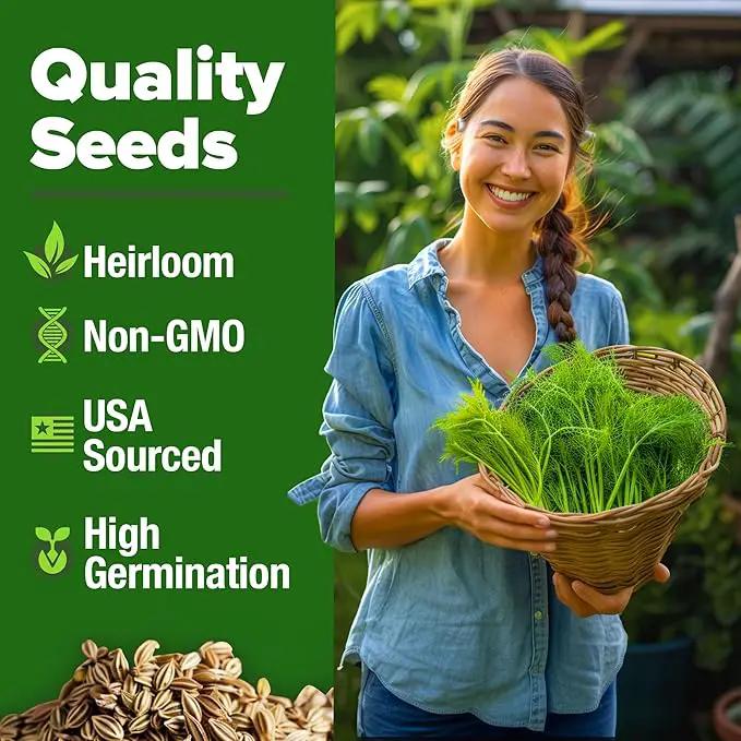 HOME GROWN Dill Seeds 2 Pack (Anethum Graveolens) - 2028 Non-GMO Heirloom Herb Seeds for Planting Indoors or Outdoors, High Germination, Ideal for Herb Gardens, Pots, and Cooking Flavorful Dishes by GreenHaven Gardens