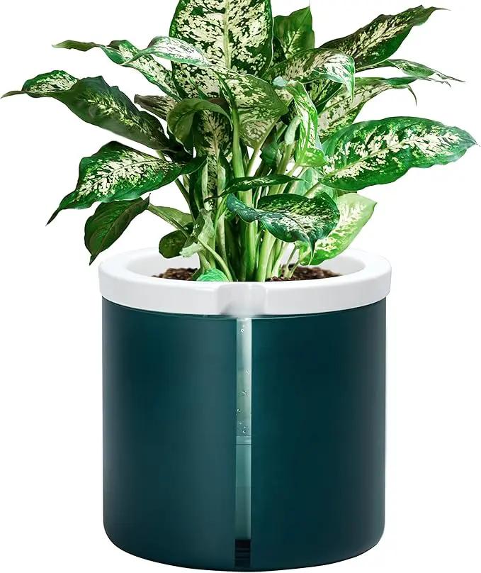 D'vine Dev 8 Inch Design Self Watering Planter for Indoor Plants, White Terracotta Pot with Teal Cylinder Glass Cup, 37-X-C-5 by GreenHaven Gardens