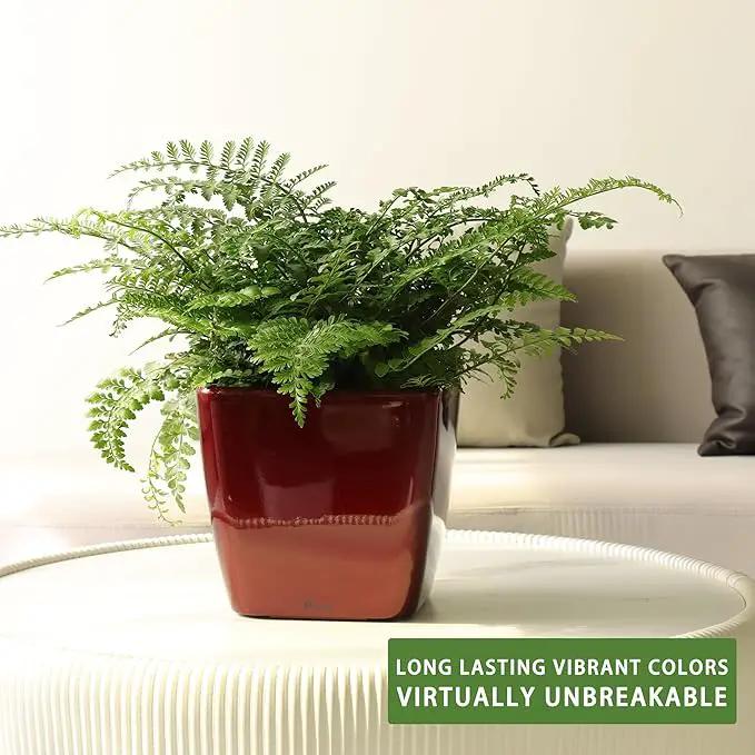 Dexceder 11x10 Self Watering Planter Indoor Outdoor, Inner Mat Design, Thickened Table Flower Plant Pot with Water Level Indicator (Red High Gloss) by GreenHaven Gardens