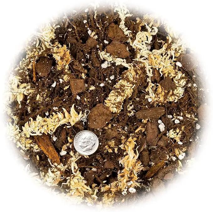 Premium Orchid Mix by GARDENERA | Fern + New Zealand Pine Bark + Sphagnum Moss + Perlite | Best for Growing and Repotting Orchids - 2 Quart Bag by GreenHaven Gardens