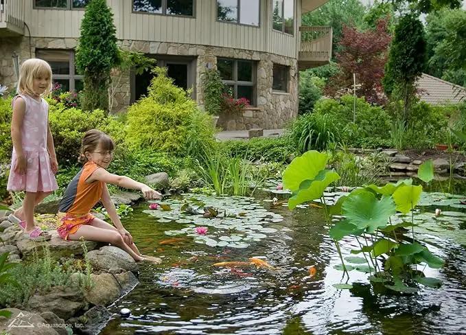 Aquascape Liquid Beneficial Bacteria for Pond and Water Features, 32-Ounce Bottle | 98888 by GreenHaven Gardens
