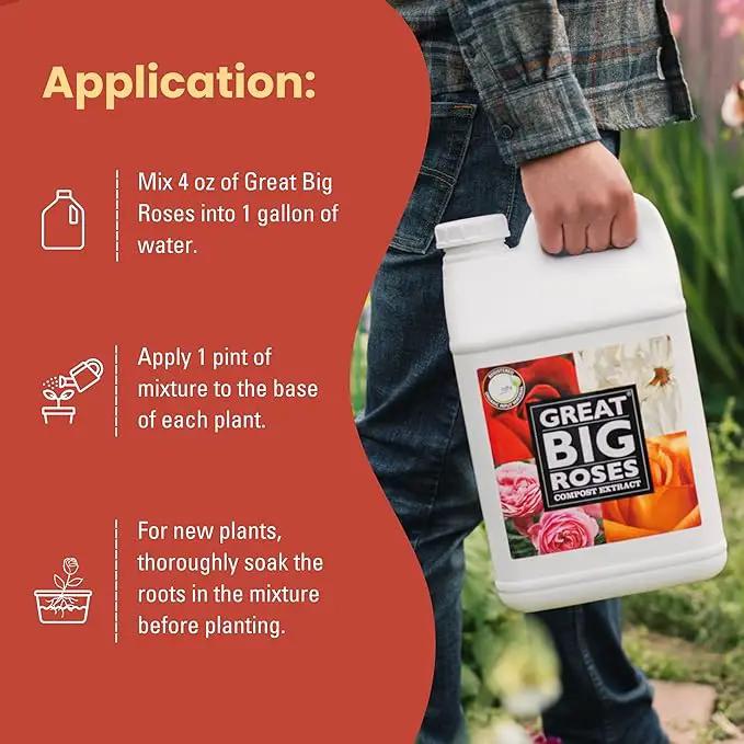 Great Big Roses – Soil and Rose Fertilizer Booster to Grow The Best Roses and Flowers; Rose Food Compost Extract for Rose Bush, 32 Ounce Concentrate (Makes 8 Gallons) by GreenHaven Gardens