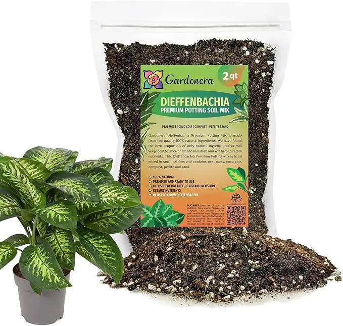 Premium Dumb Cane Potting Soil Mix - Ideal Blend for Growing Robust and Healthy Dumb Cane Plants - 2 Quart by GreenHaven Gardens
