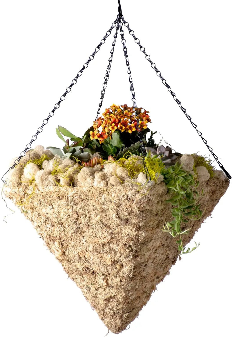 SuperMoss (29247D MossWeave Hanging Basket | Outdoor Hanging Planter with Moss | Decorative Plant Hanger for Porch, Balcony, Garden & Home Décor, Pyramid, Small 12.5” D, Blond by GreenHaven Gardens