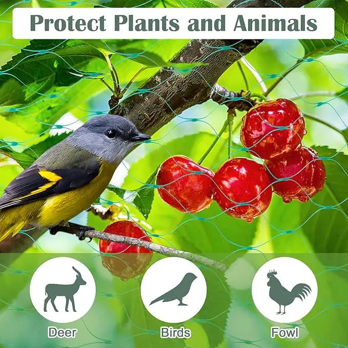 CandyHome 13Ft x 33Ft Anti Bird Protection Mesh Garden Netting Seedlings Plants Flowers Fruit Trees Vegetables from Rodents Deer Reusable Fencing, Green by GreenHaven Gardens