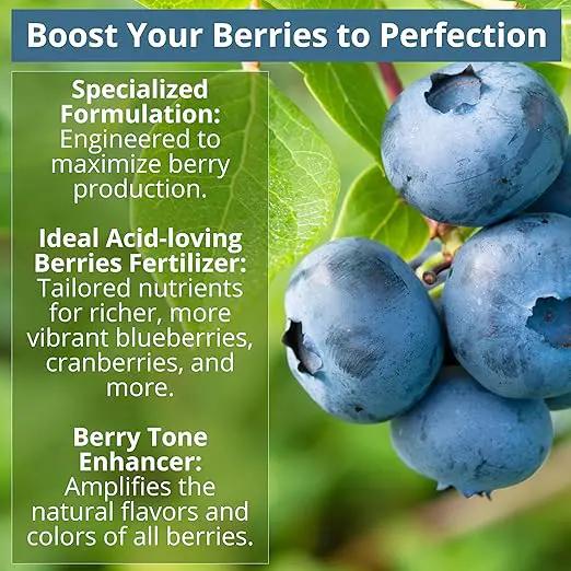 8-4-8 Acidic Fertilizer for Azaleas, Camellias (Camelia), Hydrangeas, Blueberries, Gardenias, Magnolia Trees, Evergreens, and Rhododendrons - Ideal Iron-Rich Plant Food (2 QUARTS) by GreenHaven Gardens