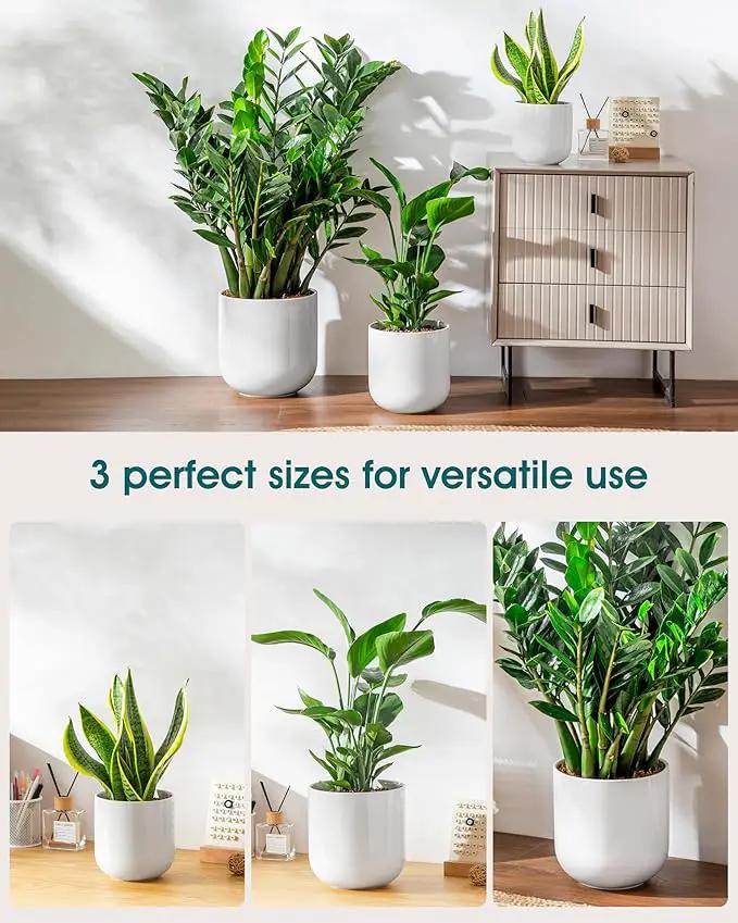 vancasso 6+8+10 inches Ceramic Plant Pots, Set of 3, Planters with Drainage Hole, Flower Pots Planters Pots for Indoor Plants, Modern Indoor Decorative Garden Pot, Home Decor, White by GreenHaven Gardens