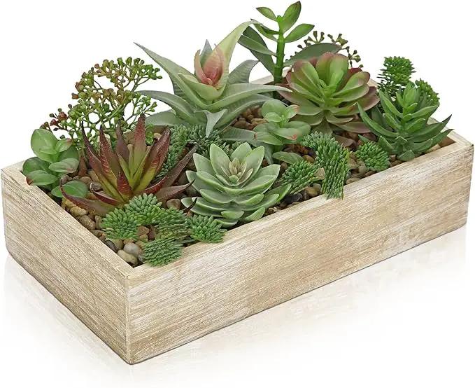 Artificial Succulent Plants in Pot 10 Inch Fake Succulent Arrangement Potted Succulents Plants Centerpiece in Rectangular Wooden Planter for Home Office Desk Shelf Living Room Bedroom Farmhouse Decor by GreenHaven Gardens