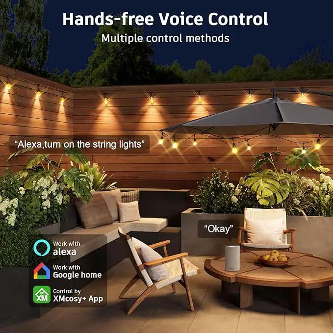 XMCOSY+ Smart Outdoor String Lights - 64ft RGBCWIC Patio Lights with 24 Color Changing Bulbs, LED String Light for Outside Backyard Bistro Party, APP WiFi Control, Work with Alexa, IP65 Waterproof by GreenHaven Gardens