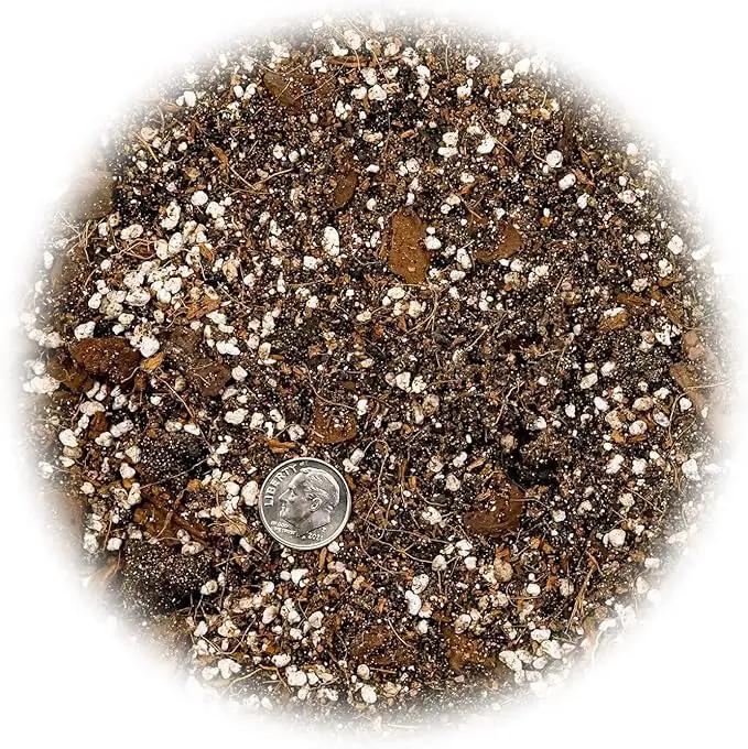 Premium Spider Plant Potting Soil Mix - (1 Quart Bag) by GreenHaven Gardens