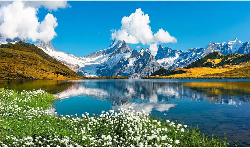 Mountains Lake Aquarium Background Bernese range View Fish Tank Background Switzerland Alps Grindelwald Valley Lake Terrarium Background Fantastic Natural Landscape Aquarium Fish Tank Decors 72x24in by GreenHaven Gardens