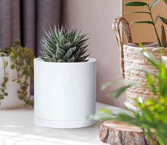 D'vine Dev 4 Pack 4 Inch Modern Plastic Plant Pots, Small Garden Planters for Plant with Drainage Holes and Saucers, White Color, 74-Z-E-2 by GreenHaven Gardens