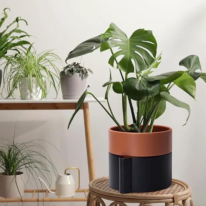 8 Inch Self-Watering Planter Pot with Terracotta Insert, Deep Water Reservoir, and Ceramic-Alike BPA-Free Plastic Planter Pot for Plant, Modern Planter for Houseplants, Black/Terracotta, 53-B-T-5 by GreenHaven Gardens