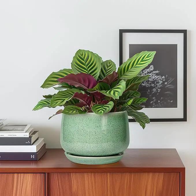 G EPGardening Ceramic Pots for Plants - 6 Inch Plant Pot with Drainage Hole and Saucer, Modern Ceramic Planter for Indoor Outdoor, Round Flower Planter, Gifts for Plants Lovers, Home Decor, Green by GreenHaven Gardens