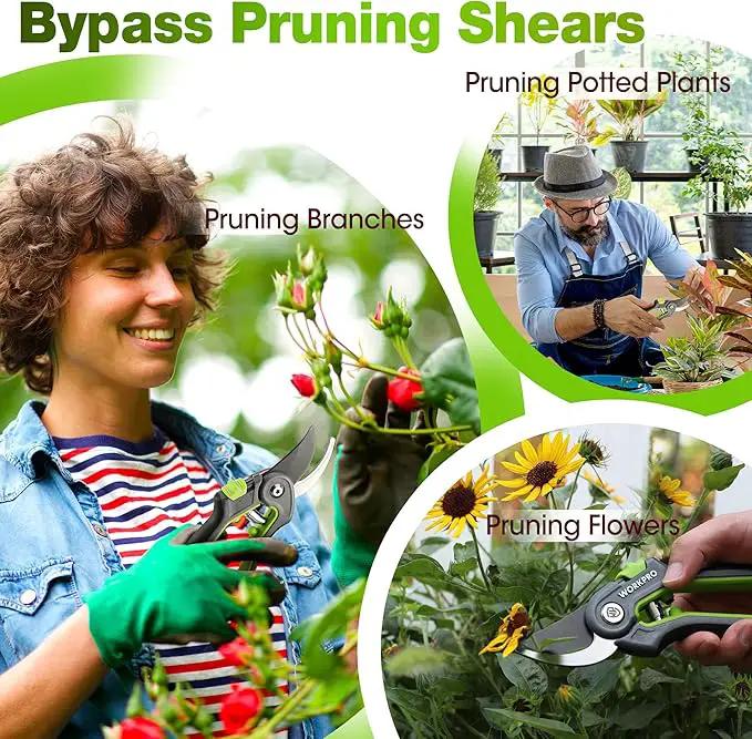 WORKPRO Garden Pruning Shears 2 Pack, 8" Bypass Pruning Shears and 6.25" Straight Garden Scissors, Premium Plant Shears, Garden Clippers Hand Tools for Cutting Flowers, Trimming Plants, Picking Fruits by GreenHaven Gardens