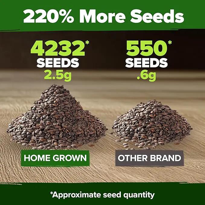 HOME GROWN Catnip Seeds (2 Pack) 𝗡𝗢𝗡-𝗚𝗠𝗢, 𝗨𝗦𝗔-𝗦𝗢𝗨𝗥𝗖𝗘𝗗 Heirloom Herb 4232 Seeds - Indoor or Outdoor Seed - High-Germination Cat Nip - Cat Safe Plants (Nepeta cataria) by GreenHaven Gardens