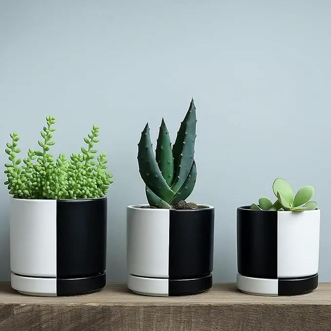 D'vine Dev 4.7 Inch Ceramic Planter Pot with Drainage Hole and Saucer, Indoor Cylinder Round Planter Pot, Split Monochrome Black & White, 94-O-B-0 by GreenHaven Gardens