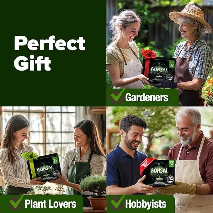 Bonsai Tree Kit - Gifts for Men & Women - Grow 4 Bonsai Trees - Unique Gardening Crafts for Adults, DIY Hobbies for Plant Lovers & Gardeners - Unusual Christmas Gift Ideas for Mom & Dad by GreenHaven Gardens