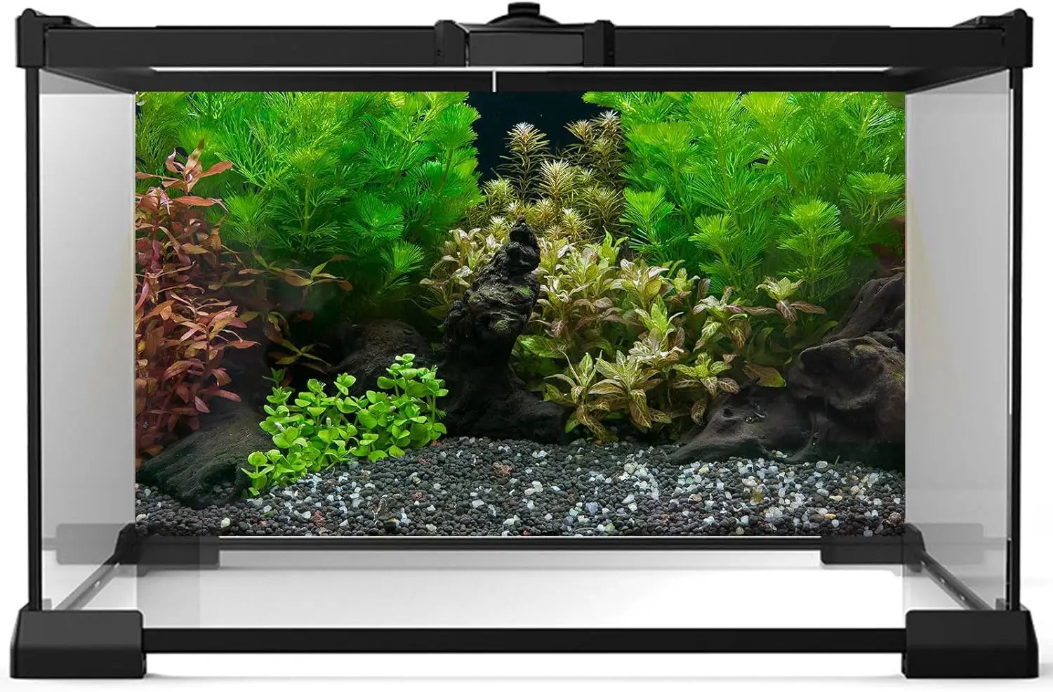 Aquarium Background Exquisite Underwater Grass Leaves with Pebbles Aquarium Backdrop Vivid Green Aquatic Plant Stone with Dead Woods and Fresh Leaves Fish Tank Wallpaper 30x18in by GreenHaven Gardens