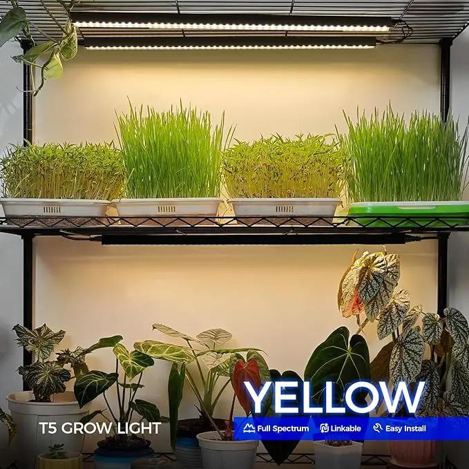 Barrina T5 Plant Grow Lights for Indoor Growing, 2FT 80W (8 x 10W) Full Spectrum LED Grow Light, Black Cover Growing Light Strips with Switch, Magnetic Installation, Plug and Play, Yellow, 8 Packs by GreenHaven Gardens