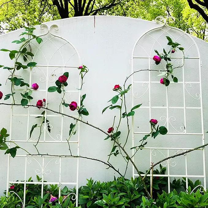 Metal Garden Trellis Rustproof Trellis for Climbing Plants Outdoor Flower Support Butterfly Deco (Cream White-2 Pack, 71"x19.7") by GreenHaven Gardens