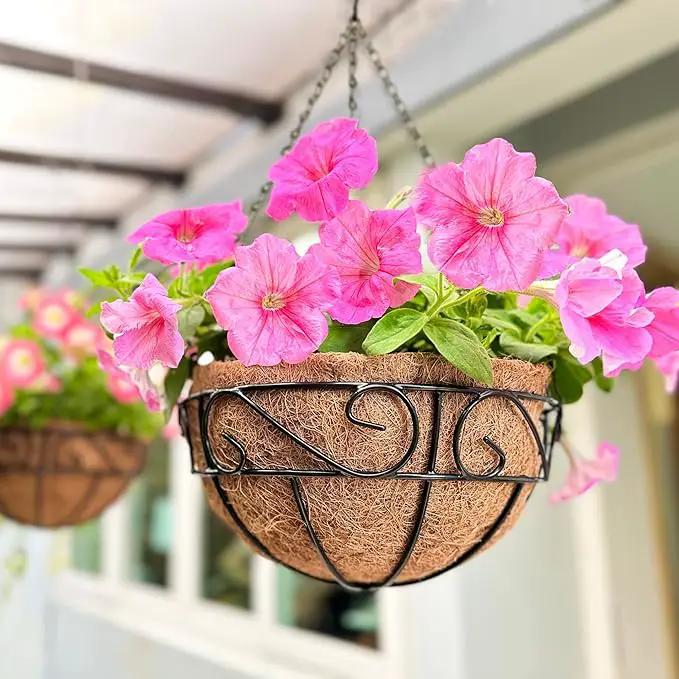 LaLaGreen Hanging Planter for Outdoor Plants (6 Pack, 10 Inch) Hanging Baskets with Coco Liner, Metal Wire Flower Basket Pots with Hook Hanger Balcony Porch Farmhouse Country Style Garden Decor by GreenHaven Gardens