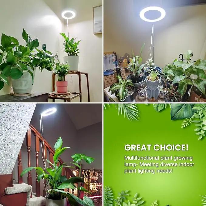 Grow Lights for Indoor Plants Full Spectrum, 80 LEDs Plant Light for Indoor Growing with 2 Mounting Options, 6H 12H 16H Timer, 3 Spectrum Modes, 37.4 in Height Adjustable Desk Grow Lamp by GreenHaven Gardens