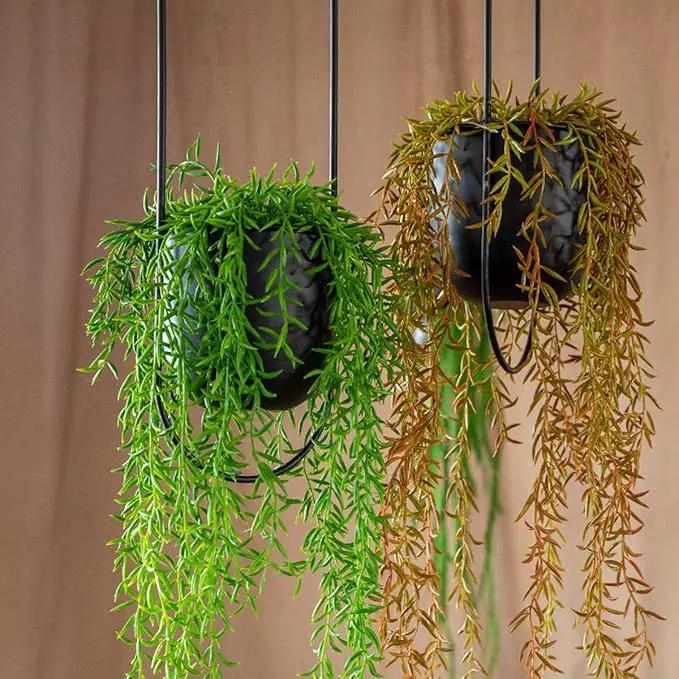 Boho Black Metal Plant Hanger,Metal Wall and Ceiling Hanging Planter, Modern Planter, Mid Century Flower Pot Plant Holder, Minimalist Planter for Indoor Outdoor Home Decor by GreenHaven Gardens