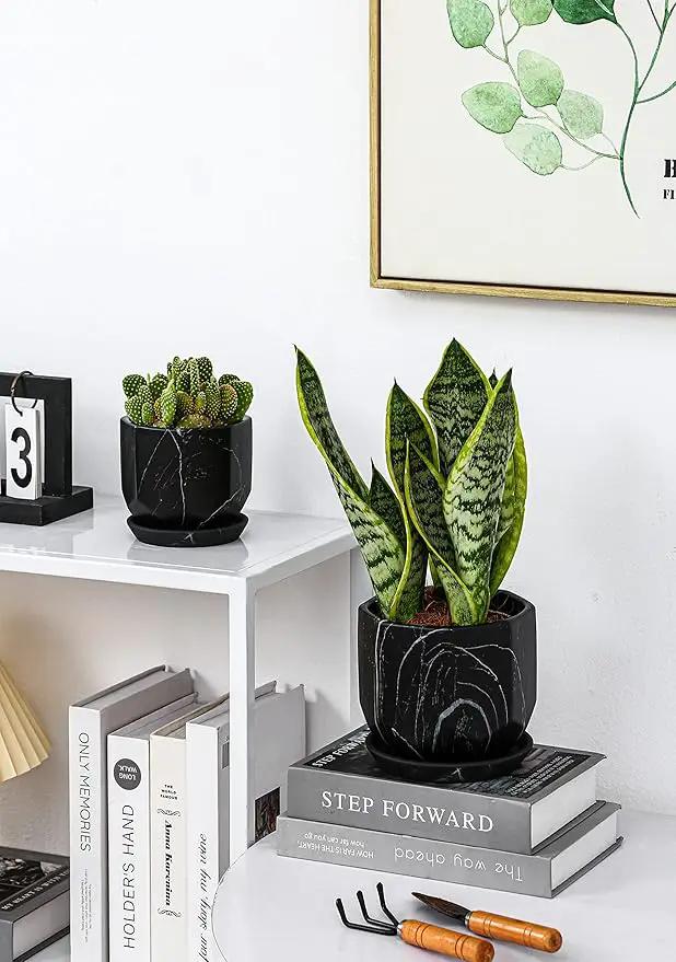 Black Plant Pot with Drainage Holes and Saucers, Ceramic Pots for Indoor Outdoor Plants, 4 & 5 Inch Premium Hand Glazed Sustainable Planters for Flower, Garden, Succulent, Nursery, Home Decor by GreenHaven Gardens