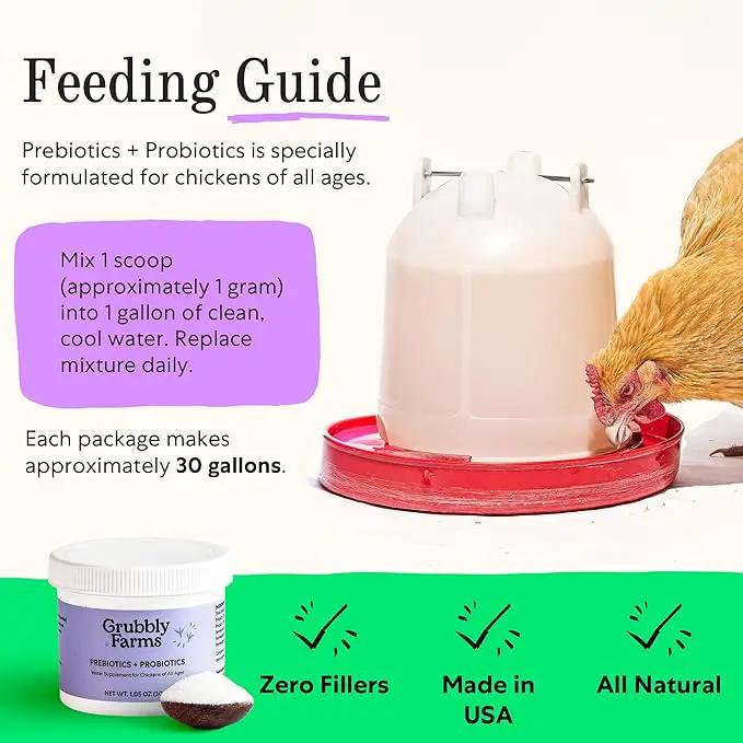 Grubbly Farms Prebiotics + Probiotics for Chickens (30 Day) by GreenHaven Gardens