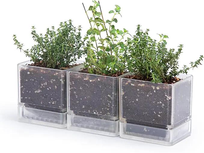 4 Inch Herb Planter Pot, Plastic Planter with Drainage Holes and Saucer, Modern Decorative Gardening Pot for Indoor Plants, Flowers, Herbs, Succulents, Clear, Set of 3, 76-Y-D-3 by GreenHaven Gardens