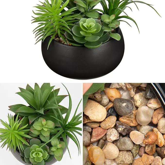 Fake Plants Artificial Succulents in Pots Faux Succulent Arrangement Potted Plant in Black Ceramic Planter Bowl for Home Decor Office Desk Bathroom Shelf Living Room Indoor Decorations by GreenHaven Gardens