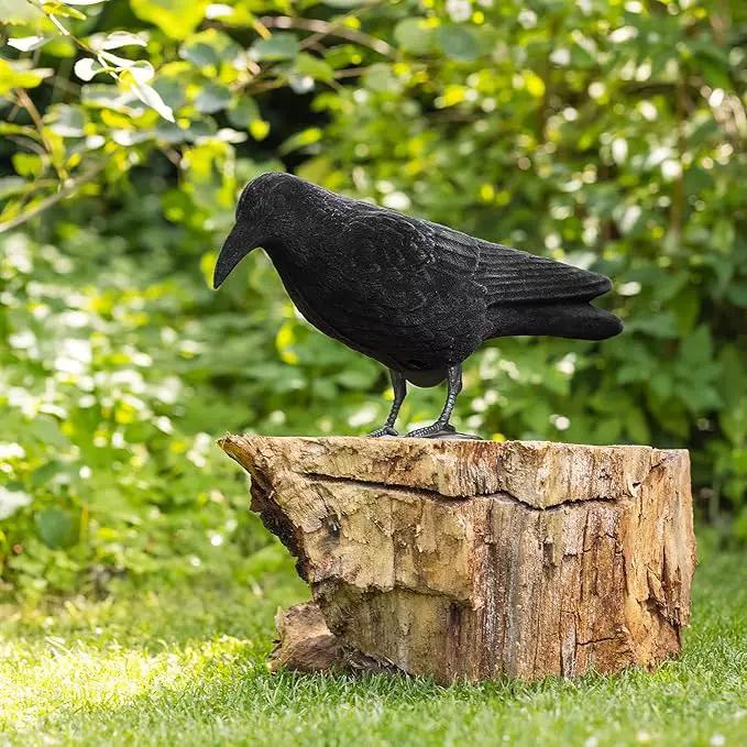 Navaris Crow Statues (Pack of 2) - Fake Black Crow Figure - Crows Bird Figures to Stand or Hang as Halloween Birds Decoration - Yard, Garden, Deck, Patio by GreenHaven Gardens