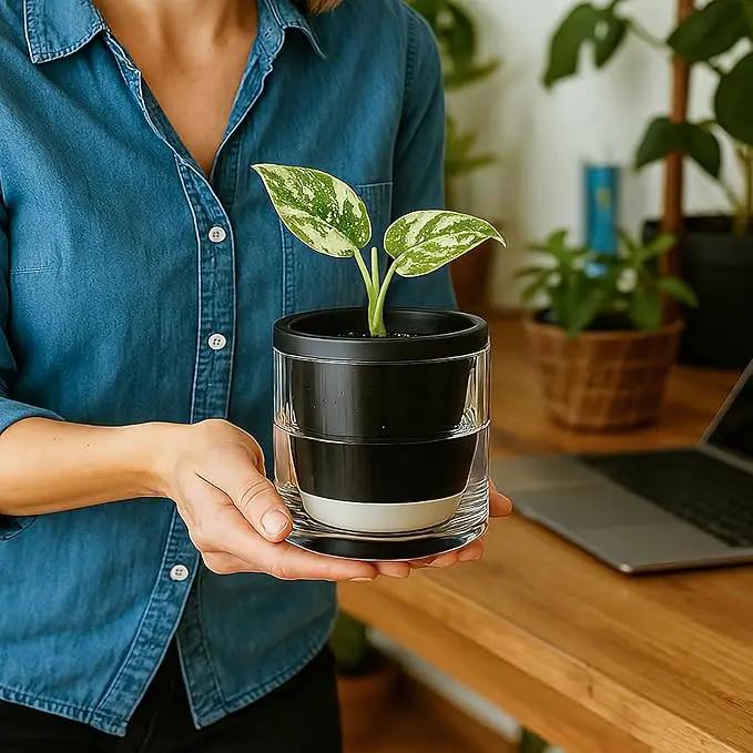 D'vine Dev 4 Inch Design Self Watering Planter for Indoor Plants, Black Terracotta Pot with Cylinder Glass Cup, Set of 4, 37-Z-A-3-F by GreenHaven Gardens