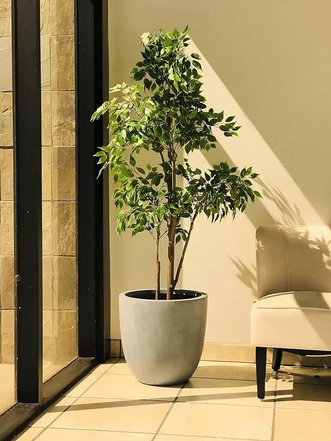 Kante 10 Inch Dia Round Concrete Planter, Indoor Outdoor Large Plant Pot with Drainage Hole and Rubber Plug for Home Patio Garden, Slate Gray by GreenHaven Gardens