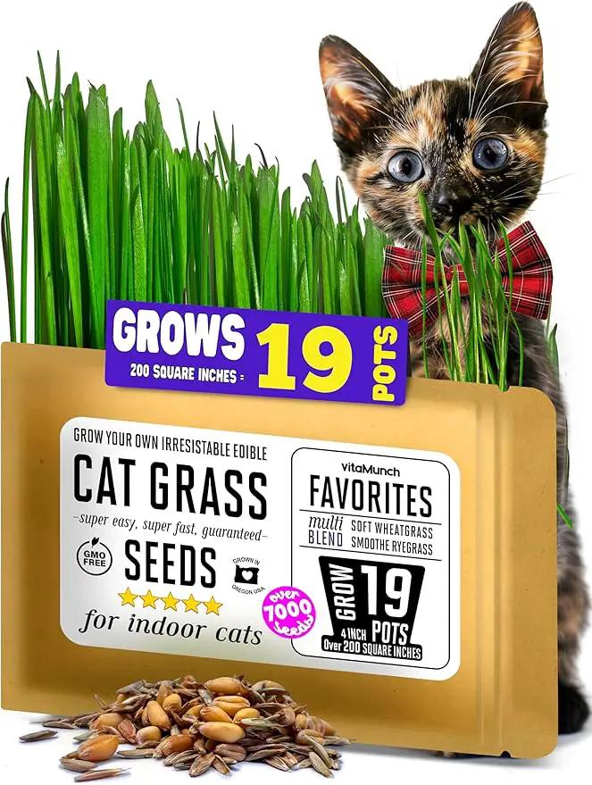 Cat Grass Seeds Favorites Blend Soft Wheatgrass & Smooth Ryegrass – Grows 19 Pots of Fresh Cat Grass for Indoor Cats – Easy & Fast – Small Pack Grows 200 Square inches of Edible cat Grass – Vitamunch by GreenHaven Gardens