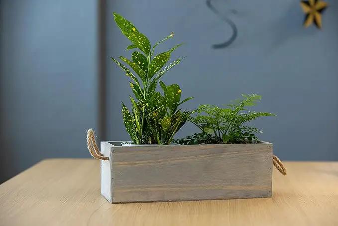 Wooden Planter Box with Handle, Rustic Barn Wood, Plastic Liner l Garden Decor l Restaurant and Wedding Decorations l Wedding Table Centerpiece (12x4 w Handle Set of 4, Natural) by GreenHaven Gardens