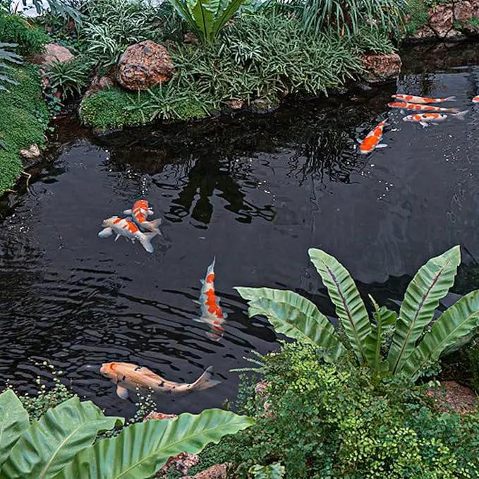 16 x 16 FT Pond Liner, 20 Mil Fish Pond HDPE Liner, Pond Liners for Outdoor Ponds, Koi Ponds, Garden Fountain, Waterfall by GreenHaven Gardens