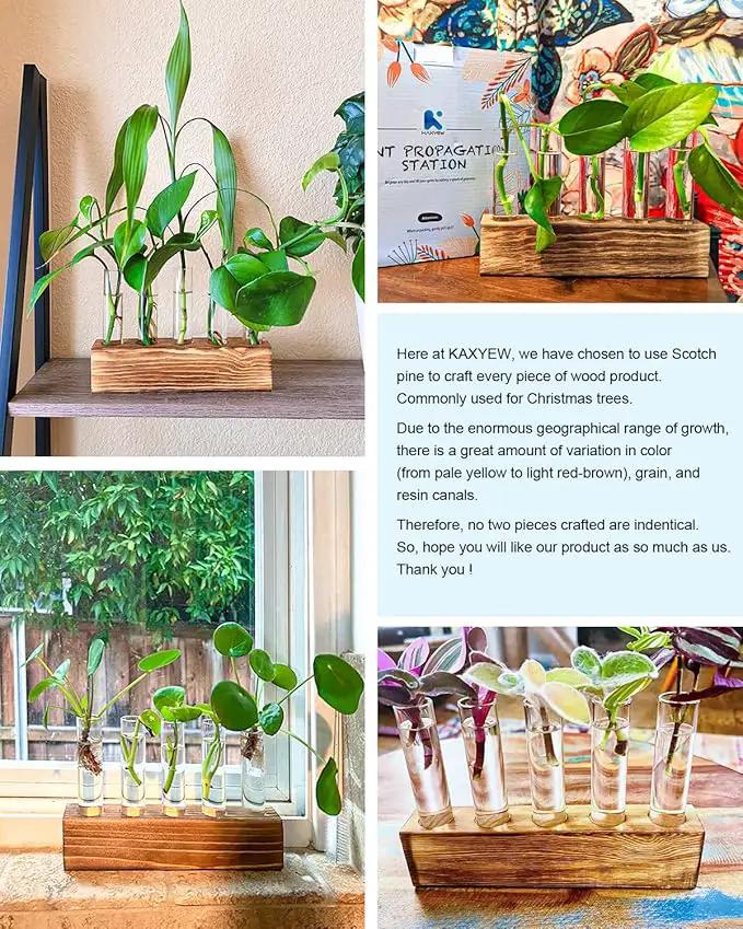 KAXYEW Plant Propagation Station, Plants Propagation Tubes, Gifts for Plant Lovers, Plants Cutting Holder Test Tube Vase Office Desk Garden Décor Gift for Her Mom Women Hydroponic Vase Gift Box by GreenHaven Gardens