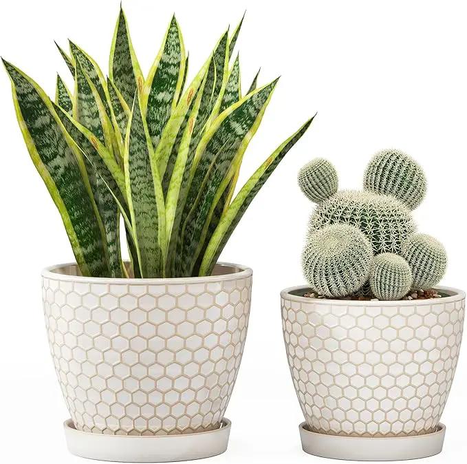 Docrin Ceramic Plant Pots Indoor, 6.6 + 5.5 Inch Flower Pots with Drainage Holes and Saucer for Plants, Set of 2, Milky White Honeycomb by GreenHaven Gardens