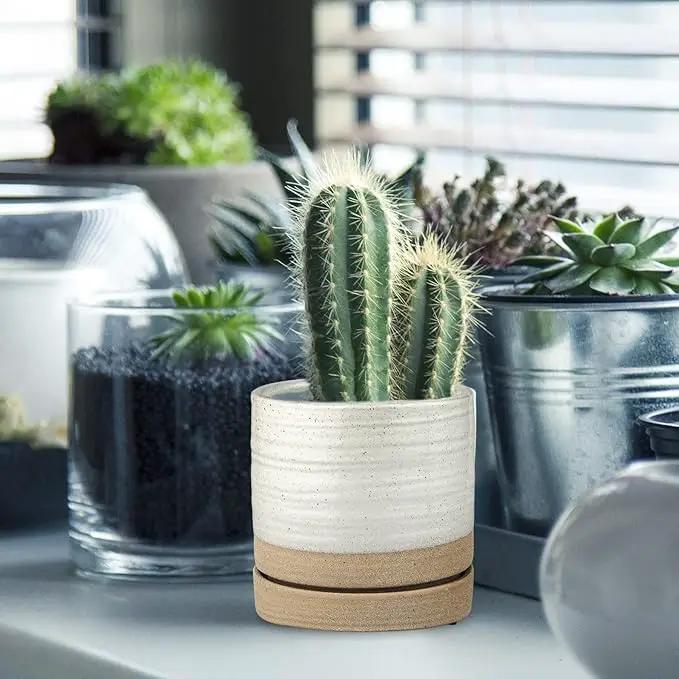 6 Inch Plant Pots, Ceramic Planter Pot with Drainage Hole & Saucer, Indoor/Outdoor Cylinder Round Planter Pot, White & Beige Glaze by GreenHaven Gardens