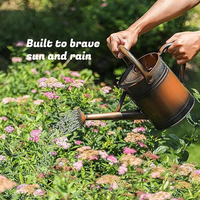 1 Gallon Watering Can for Plants, Watering Cans for Indoor&Outdoor Gardening, Galvanized Steel Watering Pot with Removable Spout, Metal Water Can with Ergonomic Movable Handle(Copper) by GreenHaven Gardens