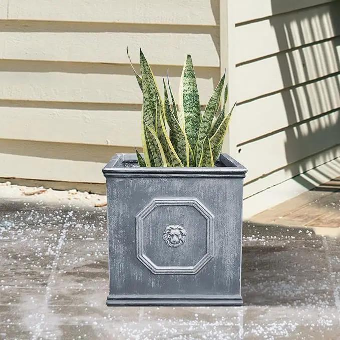 Kante Square Lion Head Concrete Planter, Classic English Style Plant Pot with Drainage Hole and Rubber Plug for Indoor Outdoor Garden Patio Home, 12.6"x12.6"x12.6" Antique Gray by GreenHaven Gardens