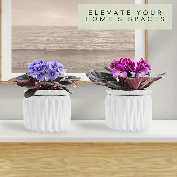 6 inch Self Watering Pot for Indoor Plants, African Violet Pot Ceramic, Flowers Planter (4 inch Opening), Holds 3 Weeks of Water (2 Pack White) by GreenHaven Gardens