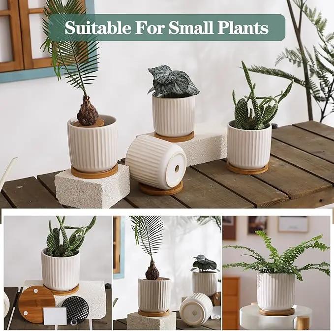 TAMAYKIM 4 Inch Ceramic Plant Pots with Drainage Holes, Modern Flower Planter with Saucer for Indoor Plants, Succulent, Cactus & Herbs, White, Set of 4 (Plants Not Included) by GreenHaven Gardens